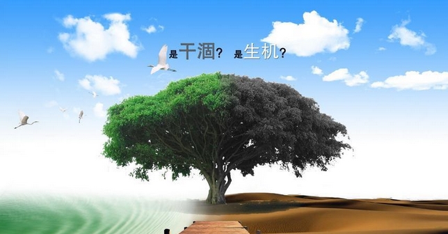天勢科技-環(huán)保