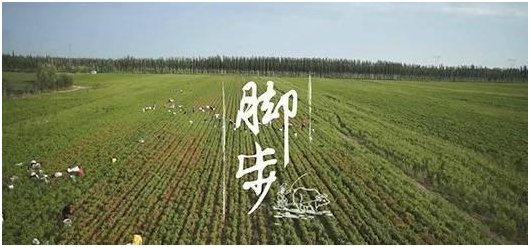 天勢(shì)科技 天勢(shì)科技